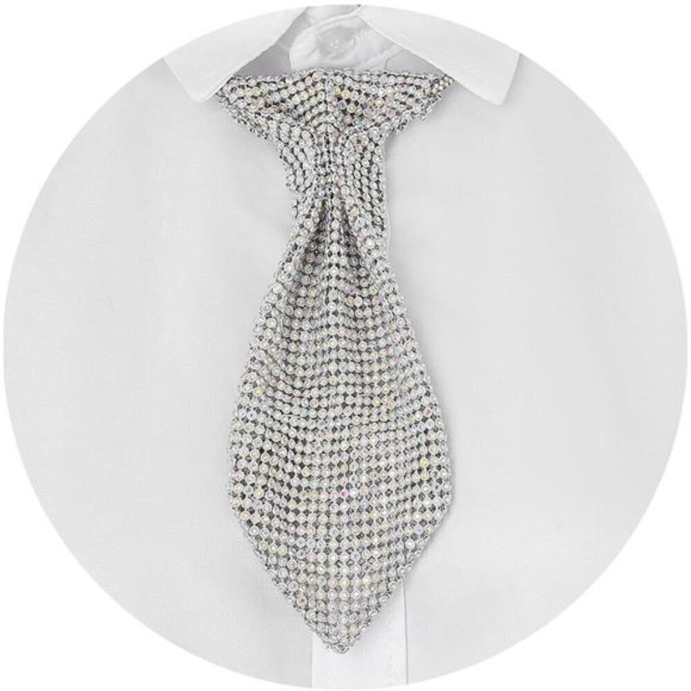 Women’s Luxury Crystal Rhinestone Necktie Silver Sparkling Fashion Statement Tie
